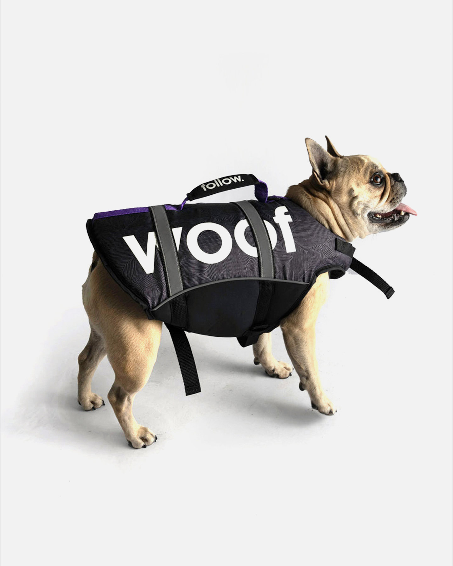 UNISEX - FOLLOW DOG FLOATING AID - BLACK - Accessories