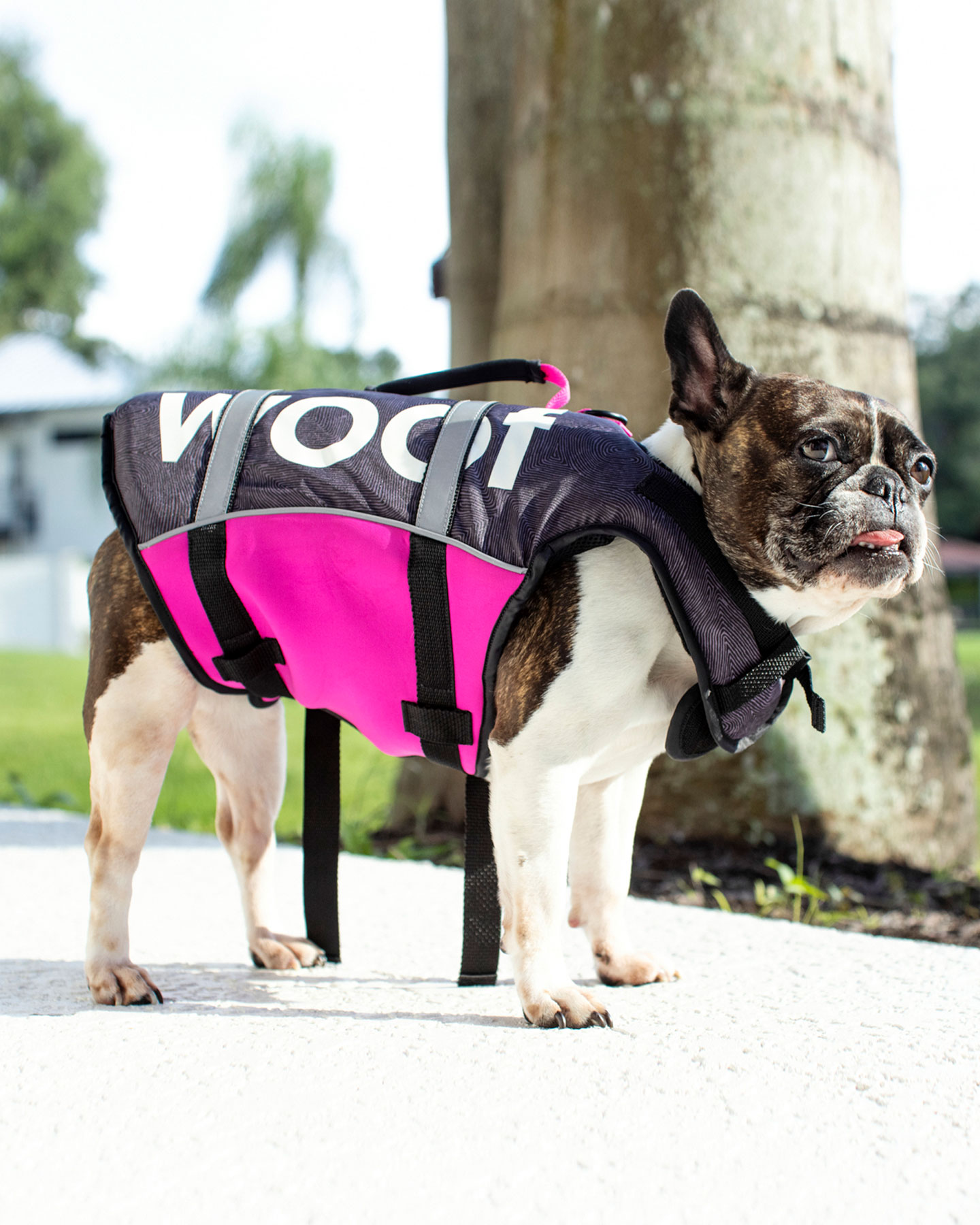 UNISEX - FOLLOW DOG FLOATING AID - PINK - Accessories